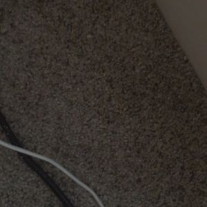 Meet your Posher, Bo